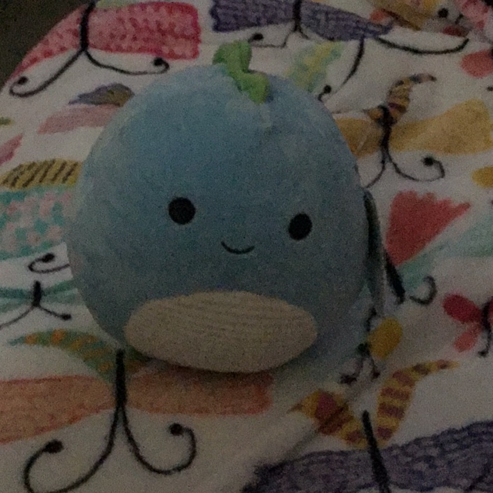 Squishmallow Rashad